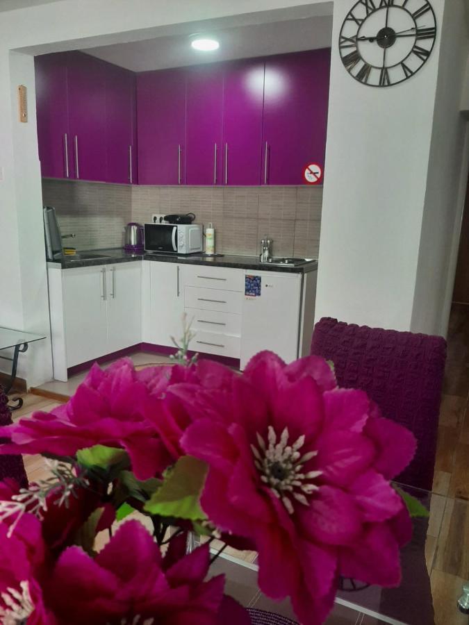 Family Apartment Near Old Town 모스타르 외부 사진